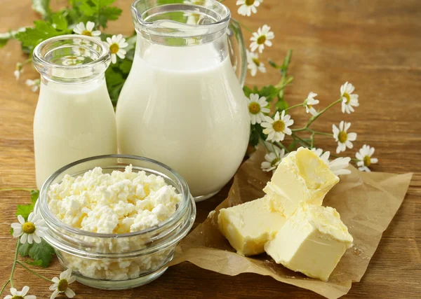 Assortiment de produits laitiers (lait, beurre, crème sure, yaourt) nature morte rustique — Photo