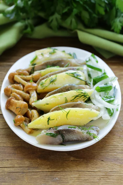 Appetizer of herring, boiled potatoes, pickled mushrooms and onions — Stock Photo, Image