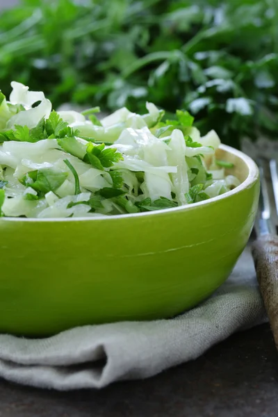 Čerstvý zelený salát se zelím (salát), okurka a petržel - zdravé potraviny — Stock fotografie