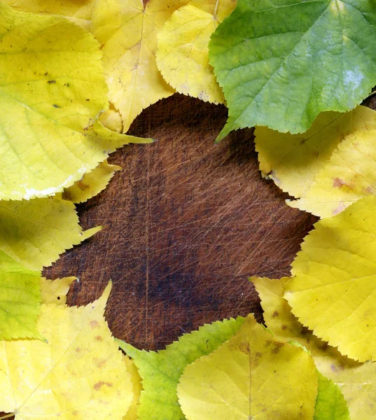 Yellow autumn leaves on the wooden background — Stock Photo, Image