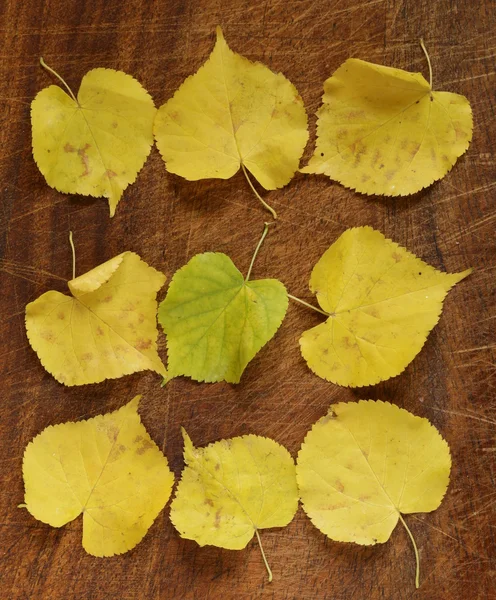 Yellow autumn leaves on the wooden background — Stock Photo, Image