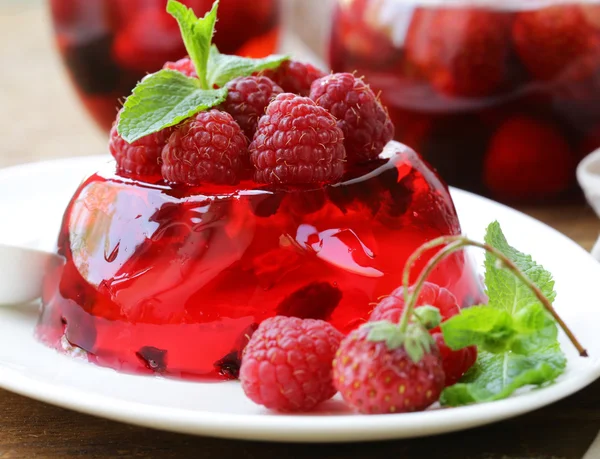 Berry fruit jelly with fresh berries - summer dessert — Stock Photo, Image