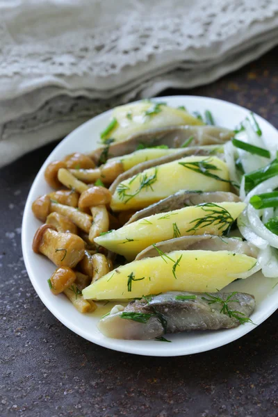 Appetizer of herring, boiled potatoes, pickled mushrooms and onions — Stock Photo, Image