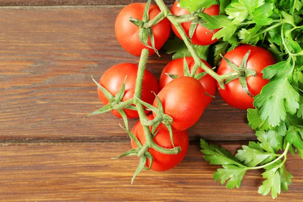 Organic tomatoes on branches with a bunch of parsley — Stock Photo, Image