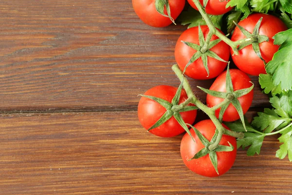 Tomates ecológicos en ramas con un manojo de perejil —  Fotos de Stock