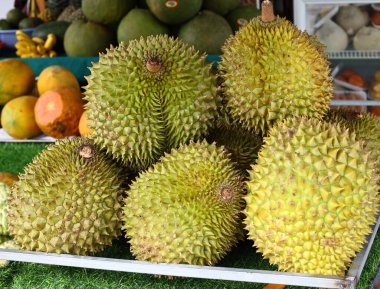 taze organik meyve durian markette