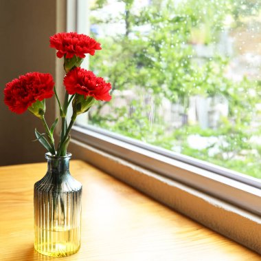 kırmızı karanfil çiçekleri vazonun içinde pencere kenarında bir masanın üstünde