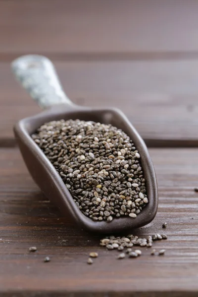 Natürliche Bio-Chia-Samen - gesunde Ernährung, Superfood — Stockfoto
