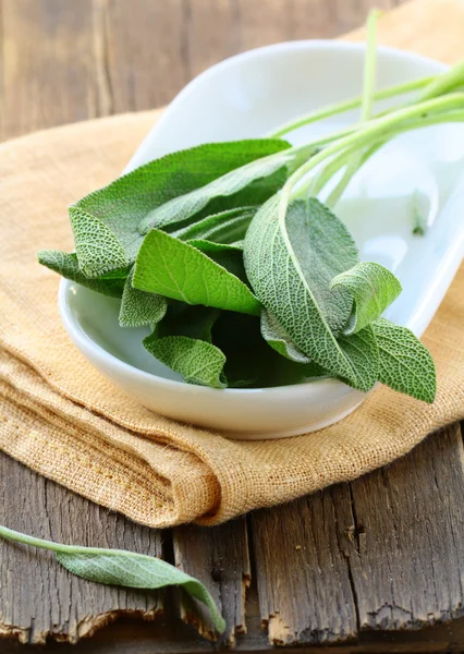 Fresh organic green fragrant sage on a wooden table — Stock Photo, Image