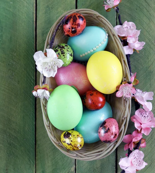 Wielkanoc symbol kolorowy malowane jajka na tle drewniane — Zdjęcie stockowe