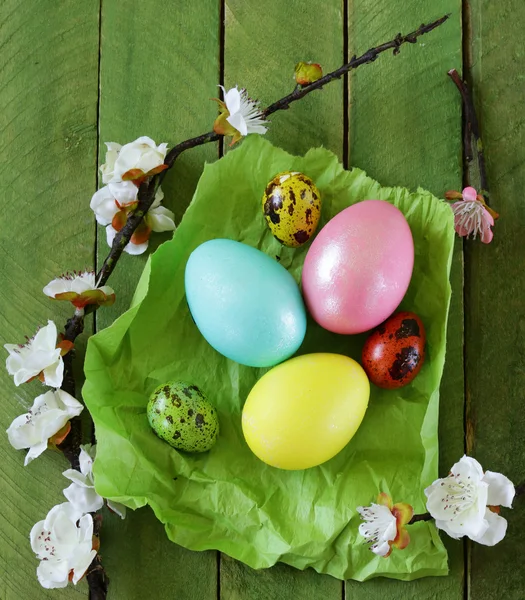 Simbolo pasquale colorato uova dipinte su uno sfondo di legno — Foto Stock