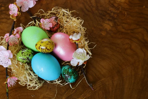 Ostersymbol bunt bemalte Eier auf einem hölzernen Hintergrund — Stockfoto