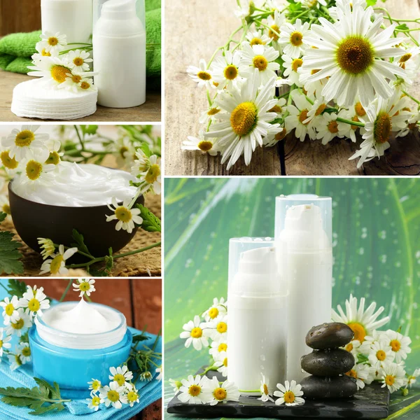 Collage of natural organic cosmetics lotion with chamomile — Stock Photo, Image