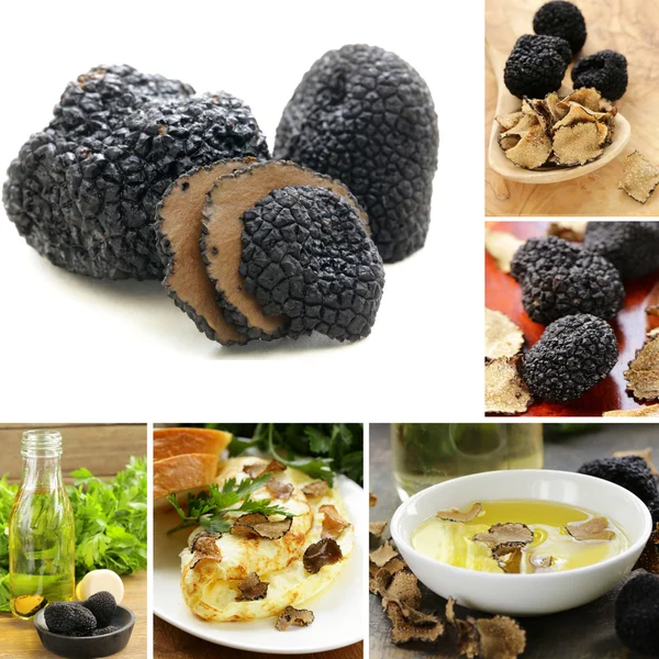 Коллаж гриб черный трюфель и ароматизированное оливковое масло — стоковое фото