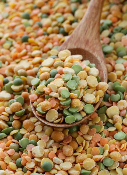 Lentilhas orgânicas naturais de mistura colorida para alimentos saudáveis — Fotografia de Stock