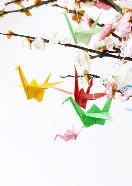 Colorful paper origami birds on flowering branches of cherry (sakura) — Stock Photo, Image