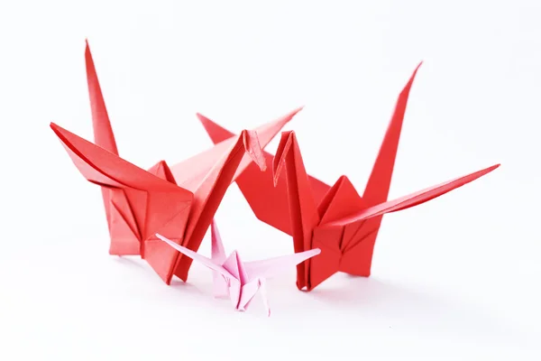 Färgglada papper origami fåglar på en vit bakgrund — Stockfoto