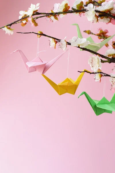 Colorful paper origami birds on flowering branches of cherry (sakura) — Stock Photo, Image