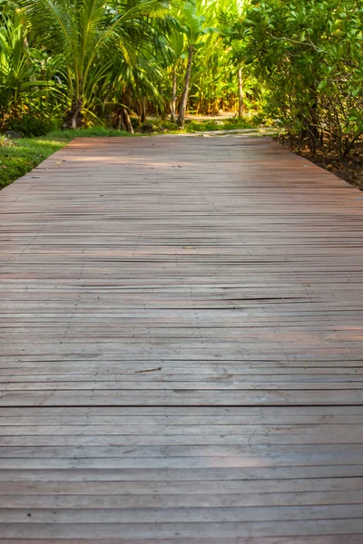 The walk way in the park at Thailand.