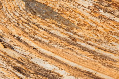 Taş dokusu yakın plan