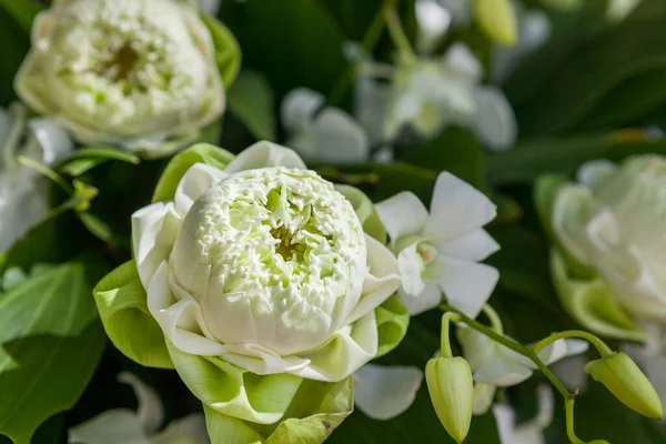 Acuerdo Floral Una Ceremonia Boda Playa — Foto de Stock