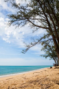 Mavi gökyüzü, dalga ve kumsal arka planının güzelliği.