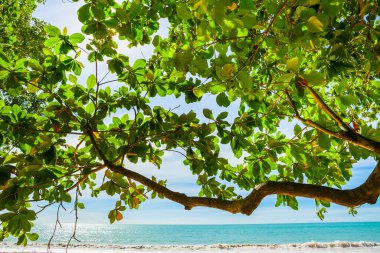 Güzel deniz, kum ve mavi gökyüzü Khao Lak, Tayland