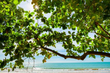Güzel deniz, kum ve mavi gökyüzü Khao Lak, Tayland