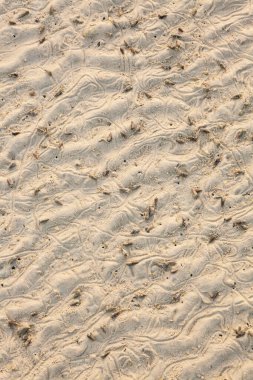 Kum dokusu, kumsal kumu Tayland 'da sabah.