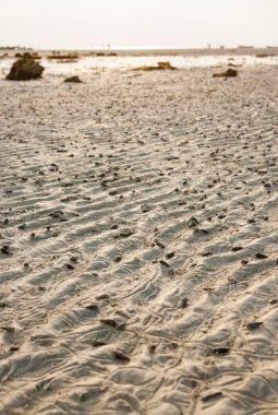 Kum dokusu, kumsal kumu Tayland 'da sabah.