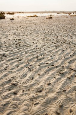 Kum dokusu, kumsal kumu Tayland 'da sabah.