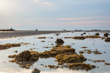 Tayland 'da gün batımından önce Koh Samui manzarası.