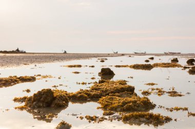 Tayland 'da gün batımından önce Koh Samui manzarası.