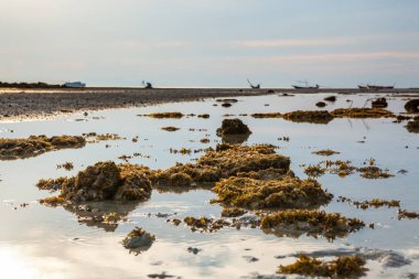 Tayland 'da gün batımından önce Koh Samui manzarası.