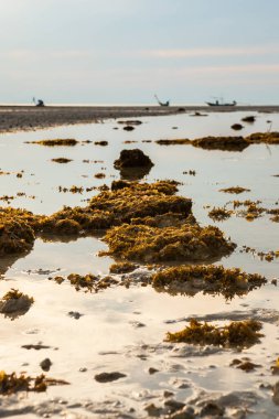Tayland 'da gün batımından önce Koh Samui manzarası.