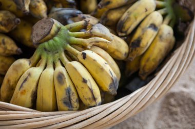 Bir kafesin içinde muz demeti yakın..