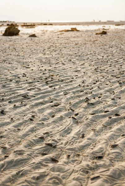 Kum dokusu, kumsal kumu Tayland 'da sabah.