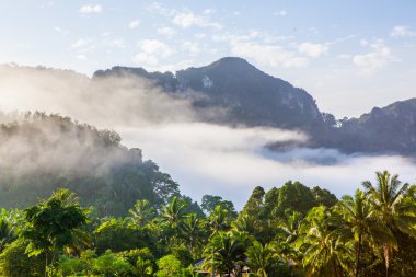 Tropikal dağ sis Tayland