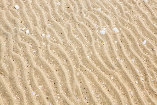 Textura Písku Dopolední Den — Stock fotografie