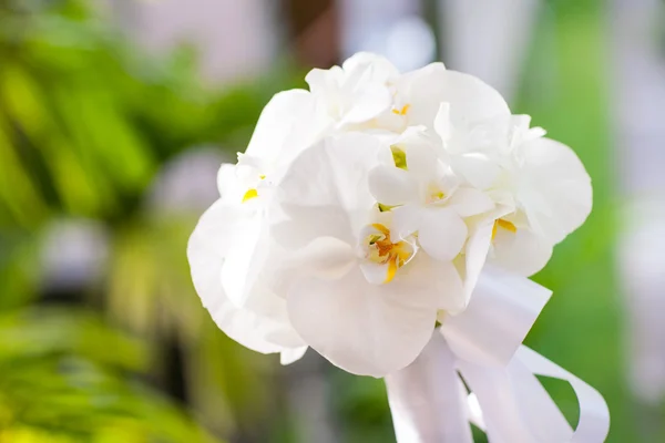 Hochzeitsstrauß aus weißer Orchidee — Stockfoto