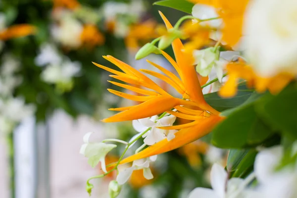 Arranjo floral em uma cerimônia de casamento na praia — Fotografia de Stock