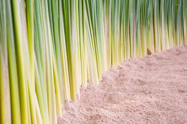 Disposizione floreale in una cerimonia nuziale sulla spiaggia. — Foto Stock