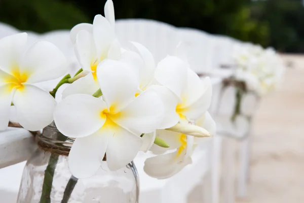 Configuração da cadeira para casamento — Fotografia de Stock