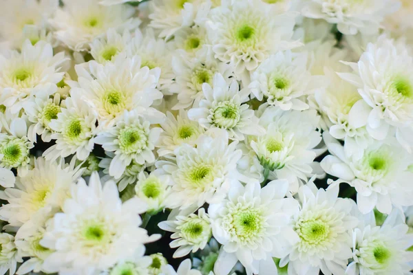 Blumenarrangements für Hochzeiten — Stockfoto