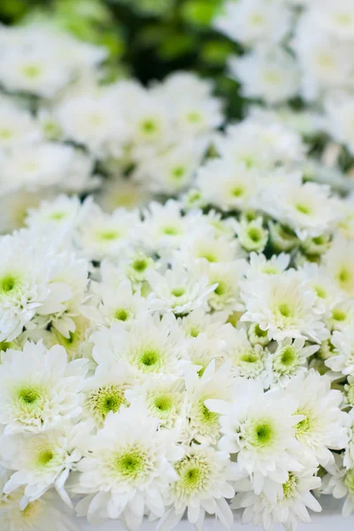 Blumenarrangements für Hochzeiten — Stockfoto