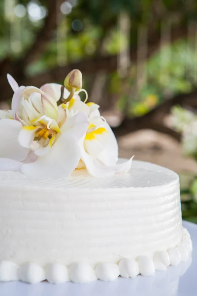 Torta nuziale — Foto Stock