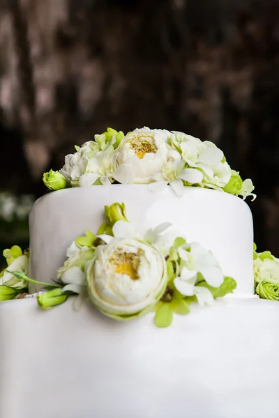 Hochzeitstorte — Stockfoto