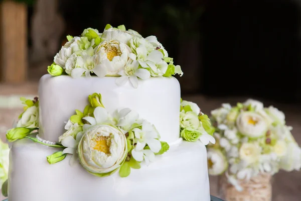 Hochzeitstorte — Stockfoto