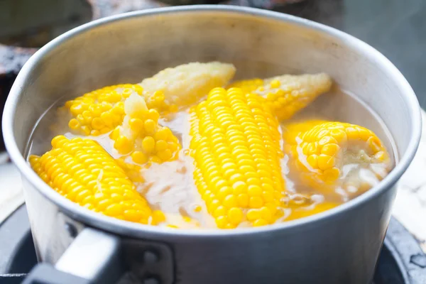 Corn cobs boiling in hot water — Stock Photo, Image