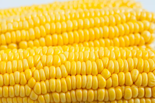 Close up grains of ripe corn — Stock Photo, Image